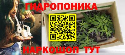 тгк Рязань